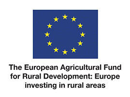 Logo - The European Agricultural Fund for Rural Development